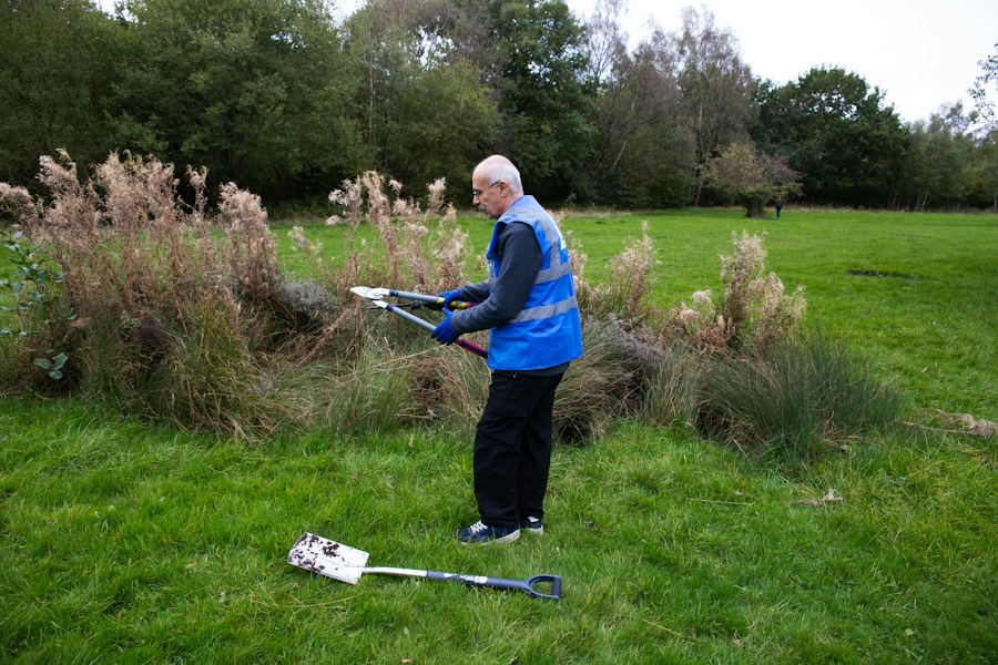 Man trimming bushes with shears in a grassy field
